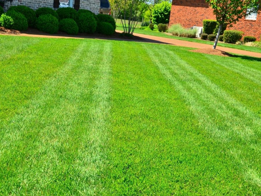 Example photo: a finished, striped lawn