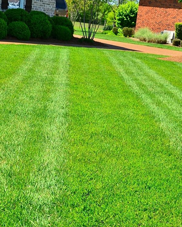 Example photo: a striped lawn beside a brick house