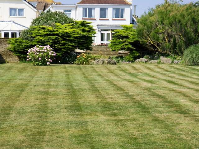 A striped lawn in front of a house
