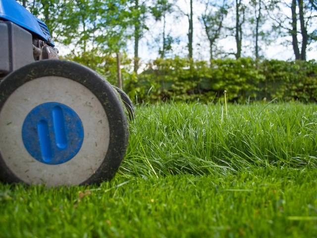 A mower wheel on fresh cut grass